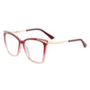 Eyeglasses Frame GJ135