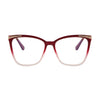 Eyeglasses Frame GJ135